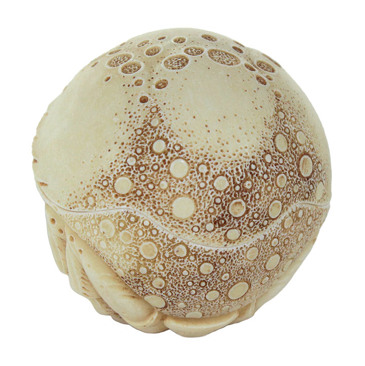 back view harmony kingdom adam binder costello crab roly polys