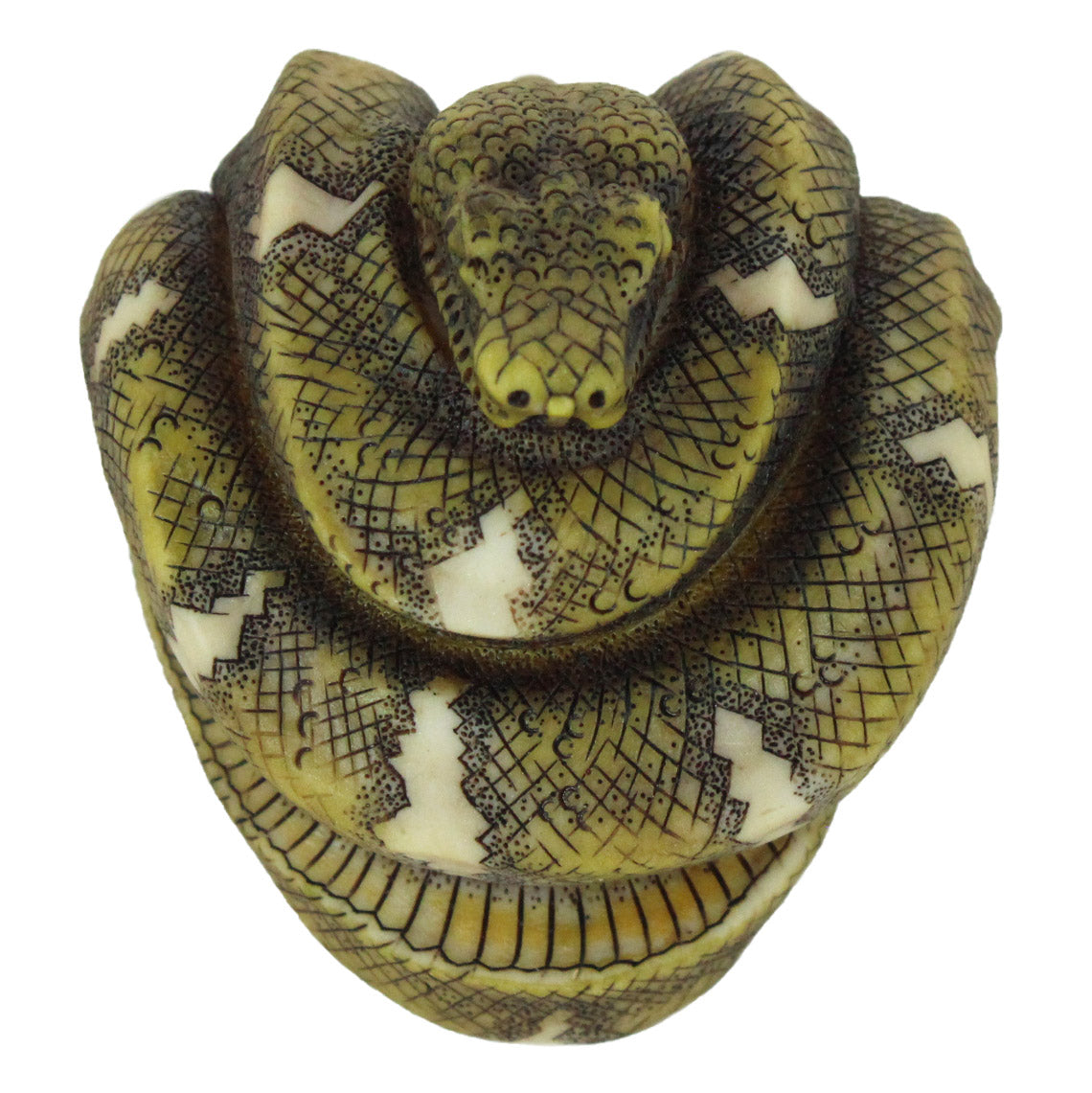 emeraldtreeboa_3024x.jpg?v=