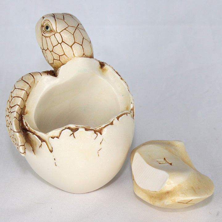 Adam Binder new dawn sea turtle hatchling box figurine interior view