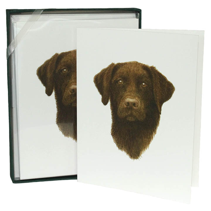 chocolate labrador boxed note cards and envelopes