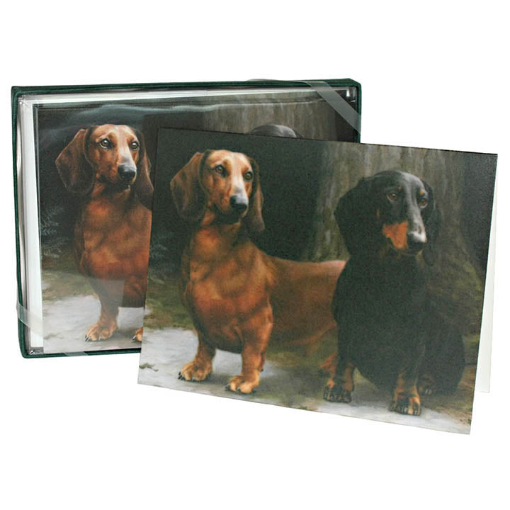 set of 10 dachshund dog note cards