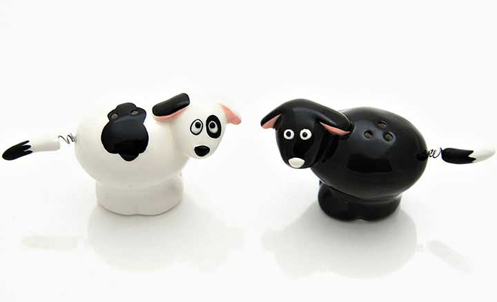 enesco, our name is mud ceramic dog salt and pepper shakers with moving spring tails - white dog with black spots salt shaker, black dog pepper shaker - top view