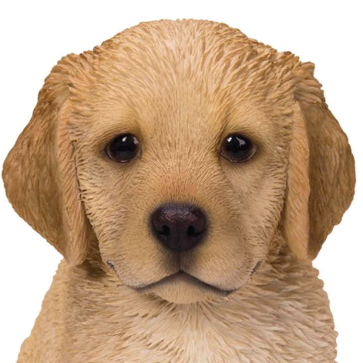 close up of face of realistic sitting golden retriver puppy with brown eyes figurine