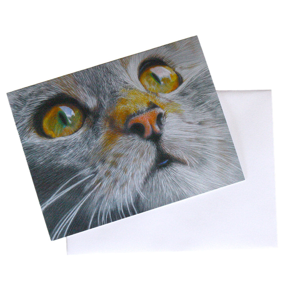 hand drawn art note card of close up of gray orange calico kitten face with yellow green eyes on top of envelope