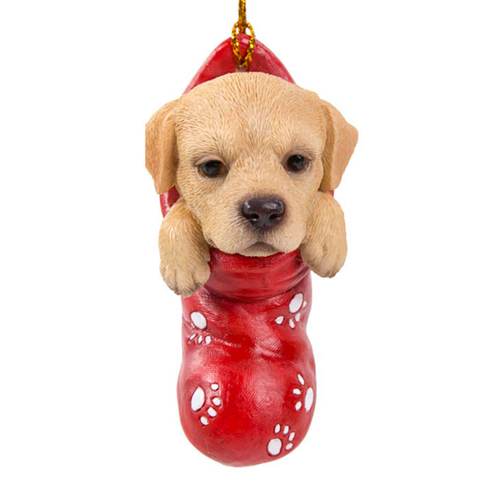 close up front view of labrador puppy in red stocking with paw print designs christmas ornament