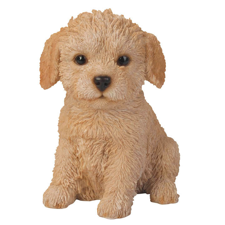 realistic sitting labradoodle puppy figurine facing forward