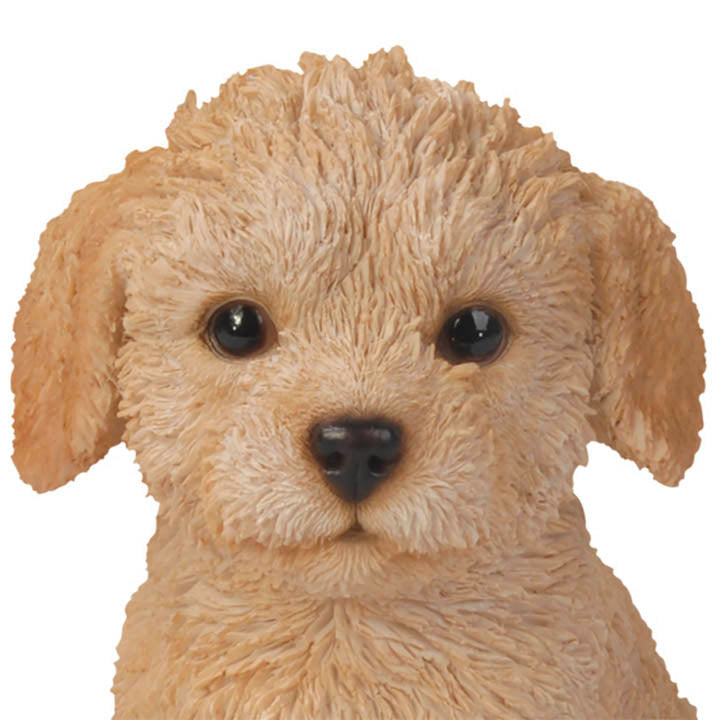 detailed closeup of face fo realistic sitting labradoodle puppy with brown eyes and nose figurine