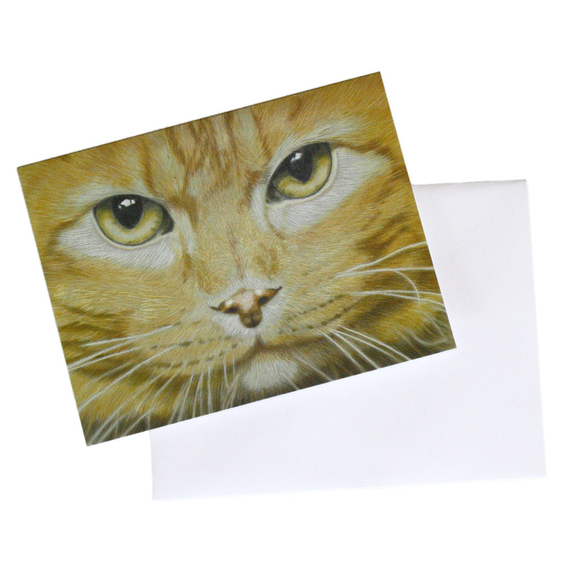 hand drawn art note card with close up of orange ginger tabby cat face with yellow eyes on blank envelope