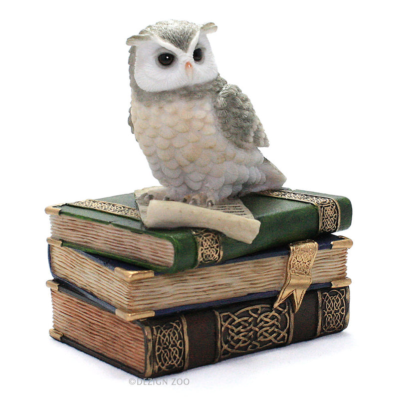 owl on books jewelry box alt view