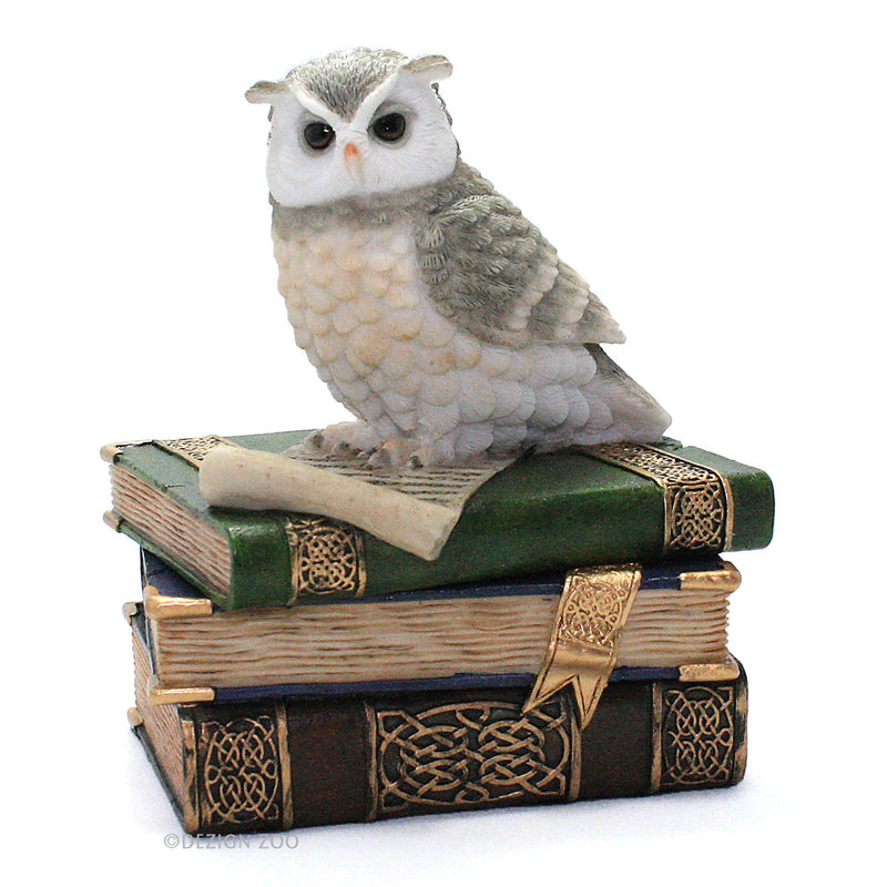 owl on books trinket box