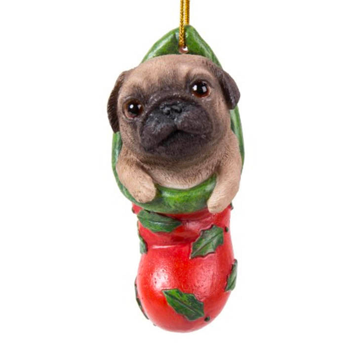 close up view pug dog puppy in red stocking with green holly leaves design christmas ornament