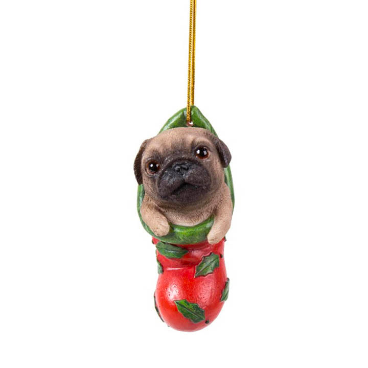 full view of pug dog puppy in red stocking with green holly leaves design christmas ornament hanging from gold colored cord
