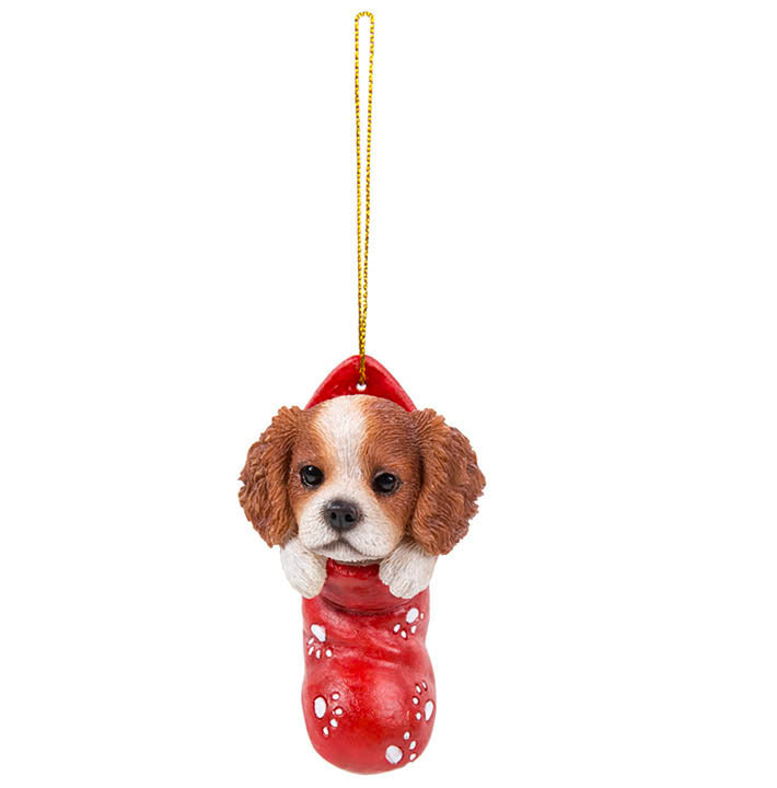 full view of King Charles Cocker Spaniel puppy in red with white paw print design stocking christmas ornament hanging from gold colored cord