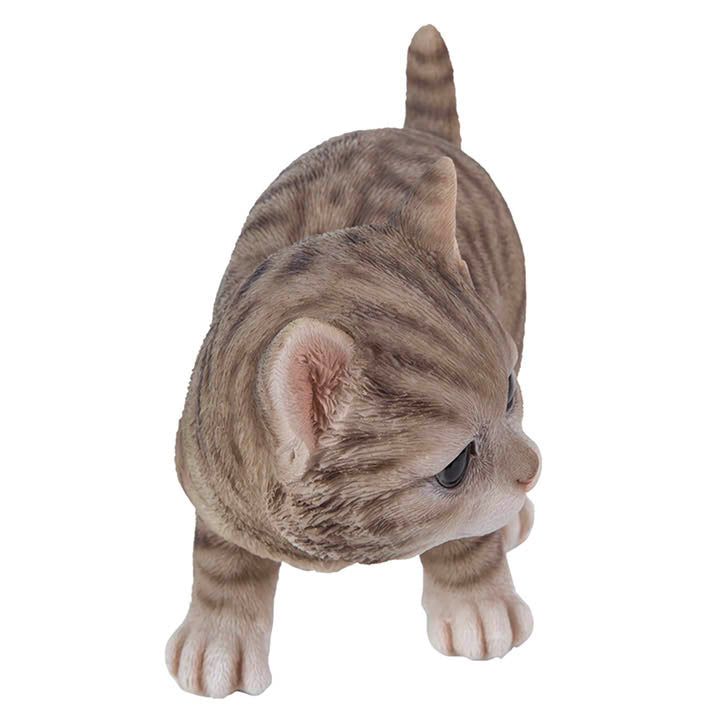 top head view of realistic looking brown tabby kitten with big eyes standing facing right