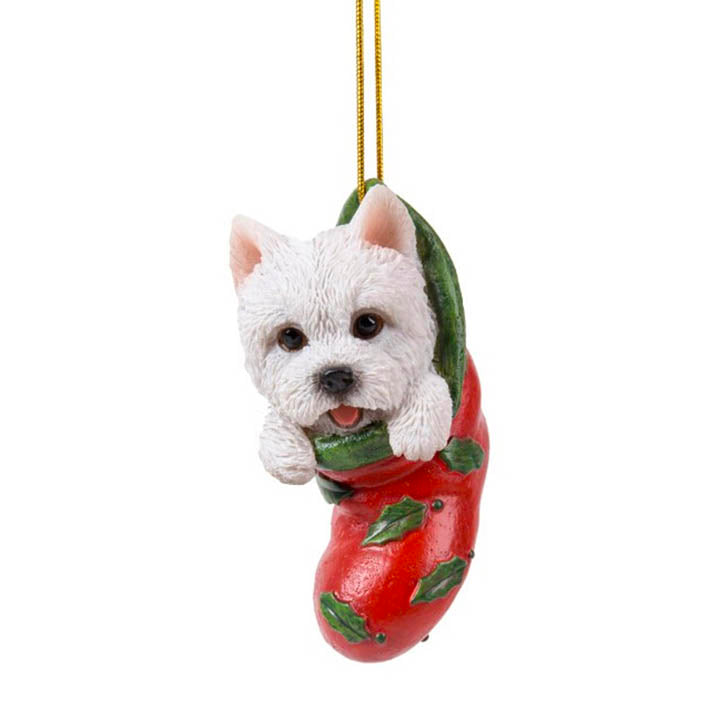 full view west highland puppy in red stocking with green holly leaf designs christmas ornament hanging from gold colored cord