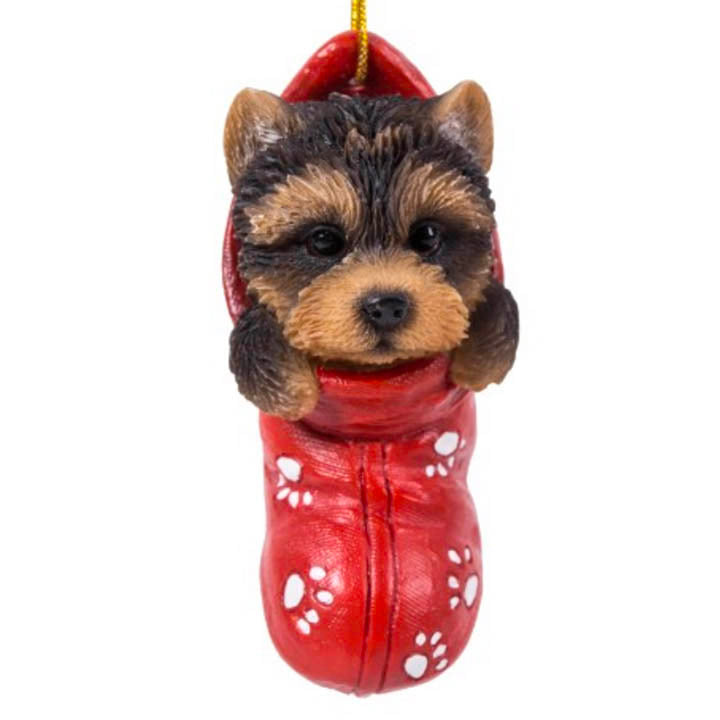 close up view of yorkshire terrier puppy in red stocking with white paw print designs christmas ornament